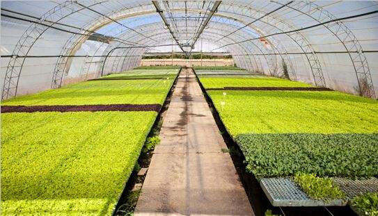 智慧農業物聯網解決方案