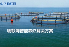 物聯網解決方案之智能養蝦