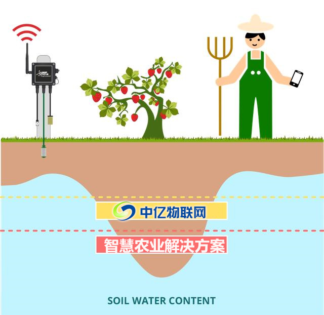 農業物聯網解決方案,智慧農業解決方案,物聯網農場,草莓農場,中億物聯網 農業物聯網解決方案,智慧農業解決方案,物聯網農場,草莓農場,中億物聯網