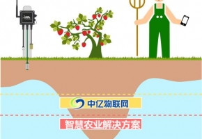 物聯卡智慧農業應用：草莓農場物聯網解決方案