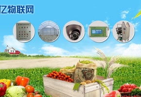 農業物聯網存在哪些問題？