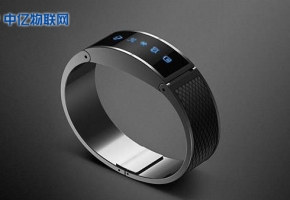 物聯網生物學解決方案之北極黃鼠“智能手環”