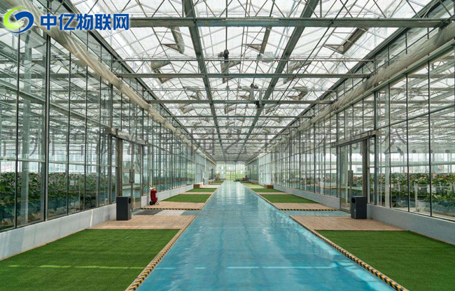 智慧農業:農業物聯網解決方案之智能大棚系統 智慧農業:農業物聯網解決方案之智能大棚系統