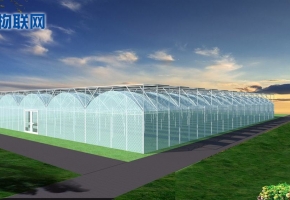 農業溫室大棚物聯卡：促進LoRa物聯網與智慧農業的完美契合！