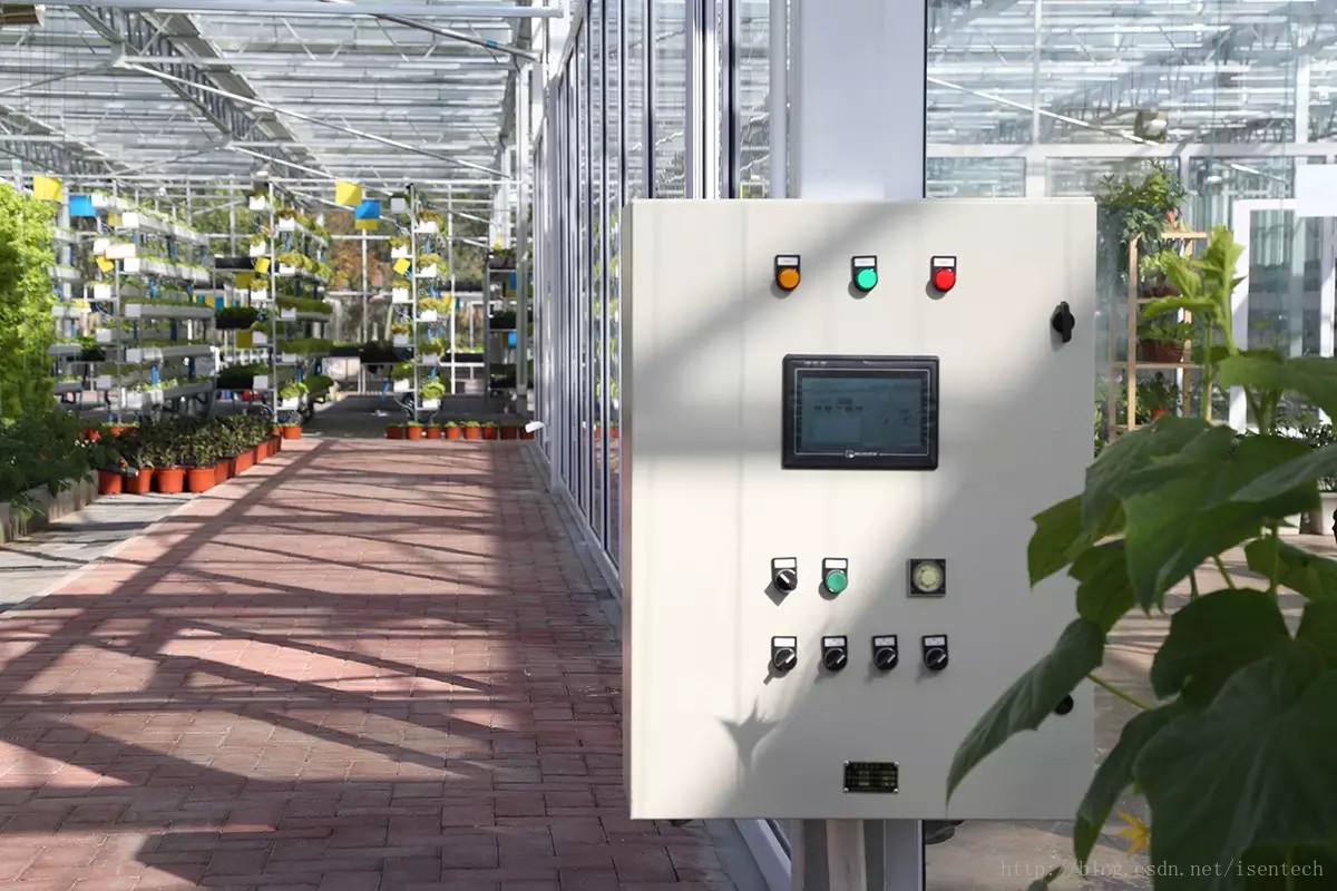 溫室大棚現場 溫室大棚現場