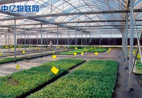 生產(chǎn)監(jiān)控設(shè)備流量卡：物聯(lián)網(wǎng)讓農(nóng)業(yè)生產(chǎn)精細化！