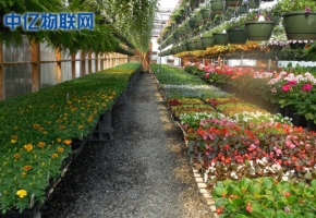 電信物聯卡是如何應用到智慧農業大棚的？