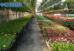 物聯網卡在農業物聯網中的四大應用！