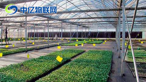 物聯卡智慧農業提高農業生產效率