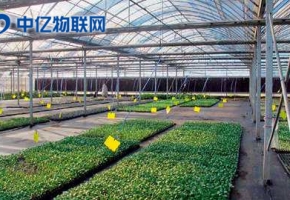 物聯卡智慧農業提高農業生產效率