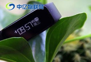 智能手環物聯卡 將順應時代潮流