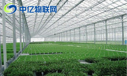 農業大棚監控物聯卡