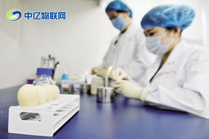 食品掃描儀物聯卡該如何使用？可以預防細菌滋生嗎