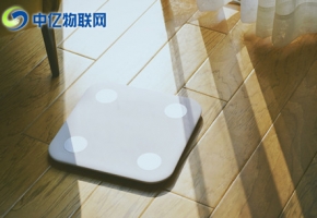 智能體脂秤物聯卡有何作用？