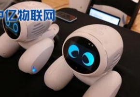 寵物機器人聯通物聯卡是如何實現智能化管理的？為什么能受到市場青睞？
