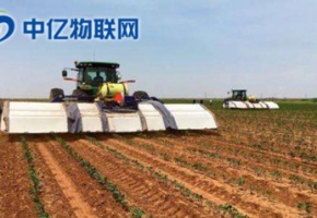  農業生產通過物聯網卡能實現什么作用？