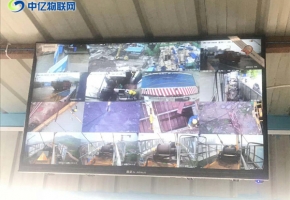   塔吊可視化監控系統物聯卡在哪里可以買？選對的物聯卡公司很重要！