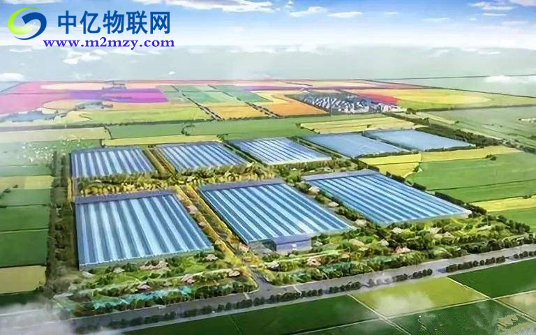 農業物聯網是如何實現農業生產精致化？