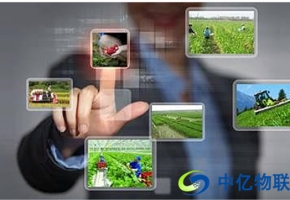 智慧農業發展新趨勢，物聯網卡如何助力農業新型發展