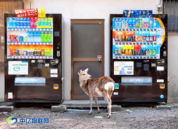 無人售賣機物聯網卡批發最關鍵的2個字是什么? 無人售賣機物聯網卡批發最關鍵的2個字是什么?